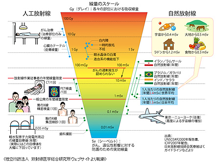 被ばくグラフ